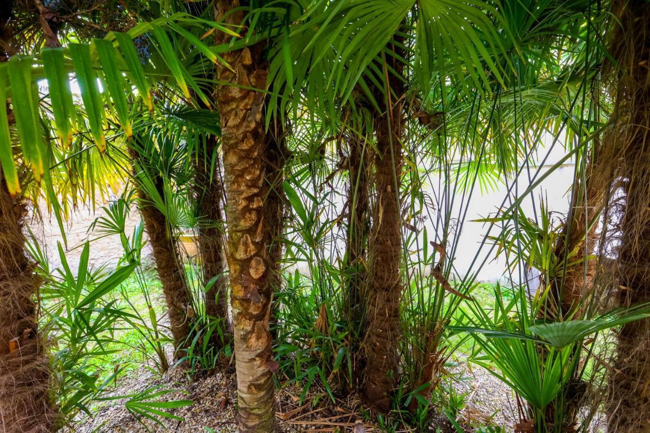 Le Cordon Bleu # Vieux-Cognac # Jardin Apartamento Exterior foto